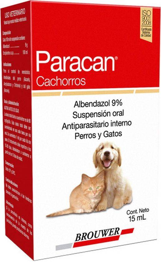 Foto Paracan Cachorros