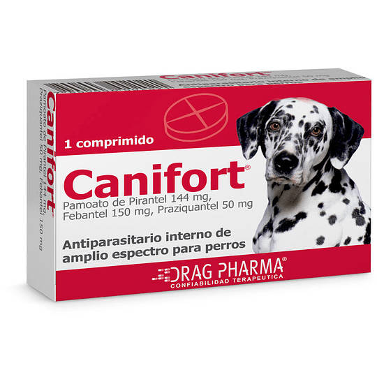 Foto Canifort