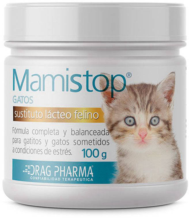 Foto Mamistop Gatos Sustituto Lácteo Felino