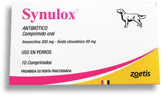 Foto Synulox