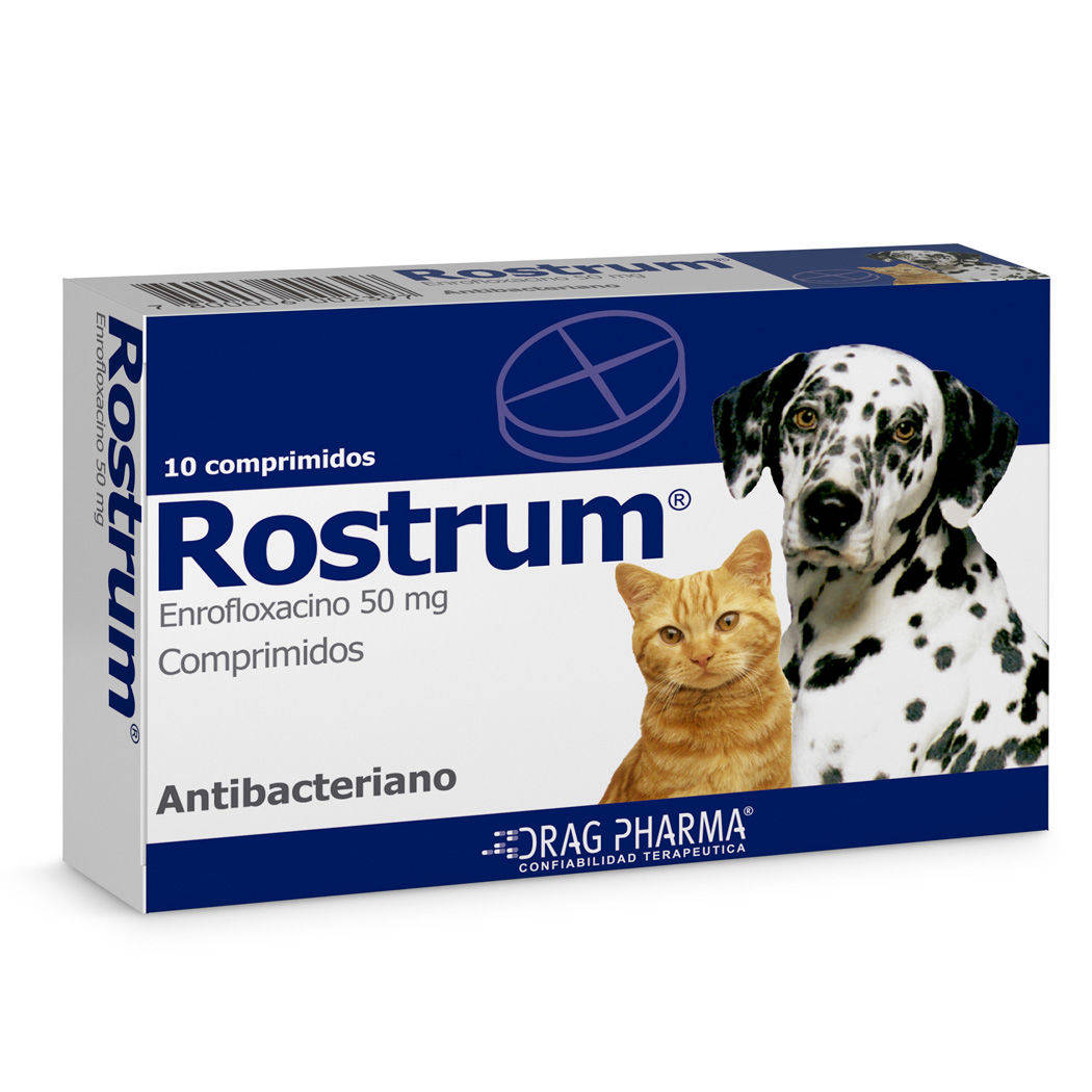 Foto Rostrum